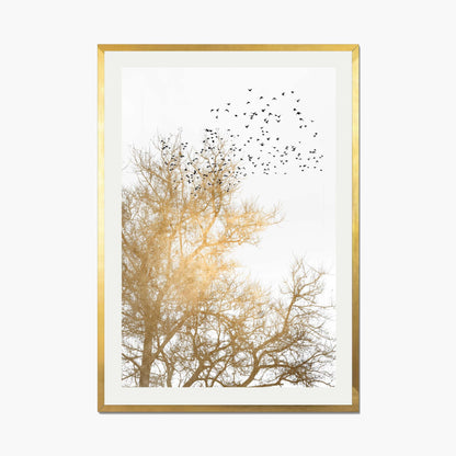 GOLDEN SKIES | PRINT