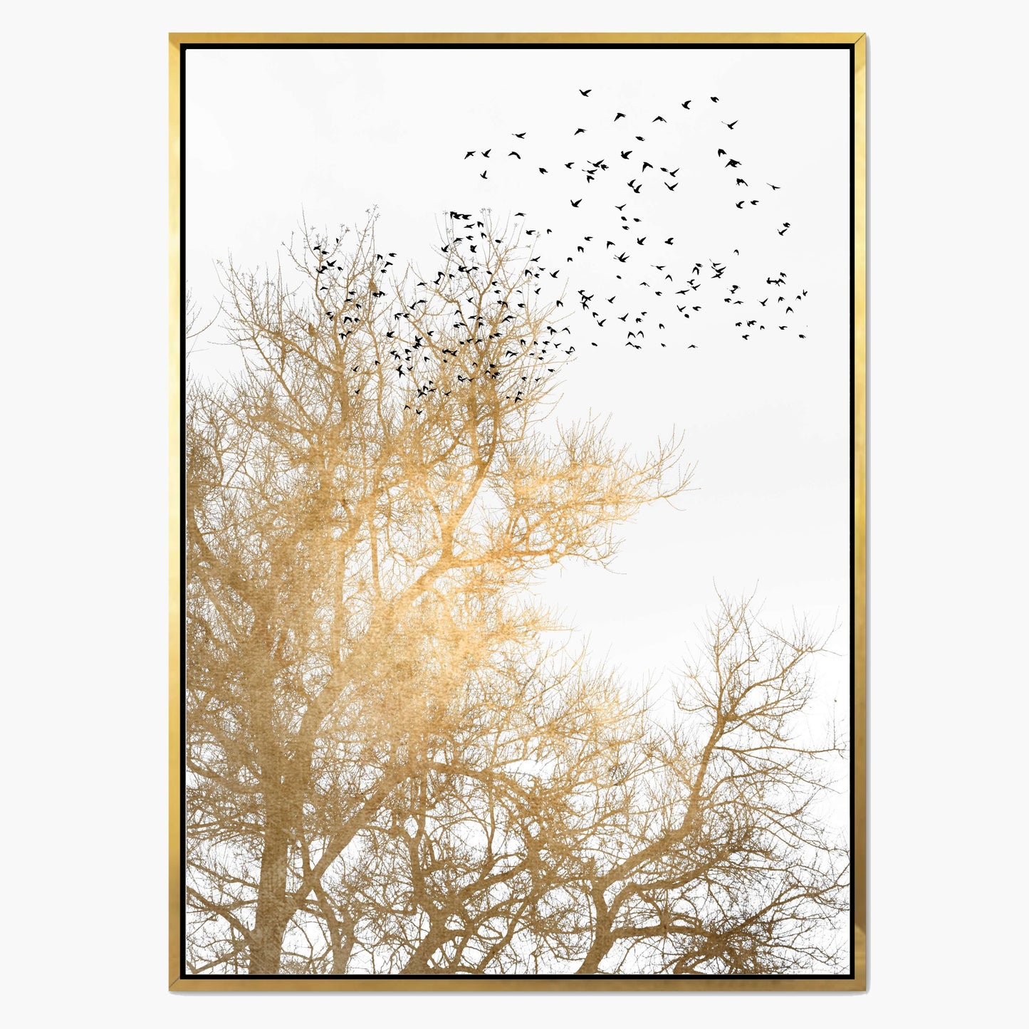 GOLDEN SKIES | CANVAS