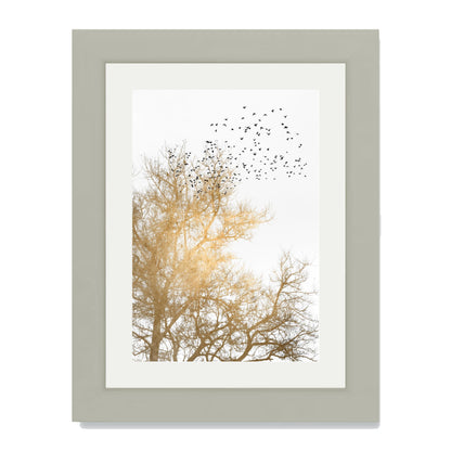 GOLDEN SKIES | PRINT