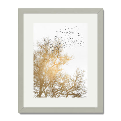 GOLDEN SKIES | PRINT