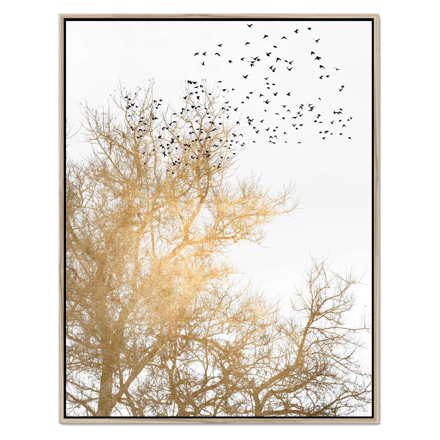 GOLDEN SKIES | CANVAS