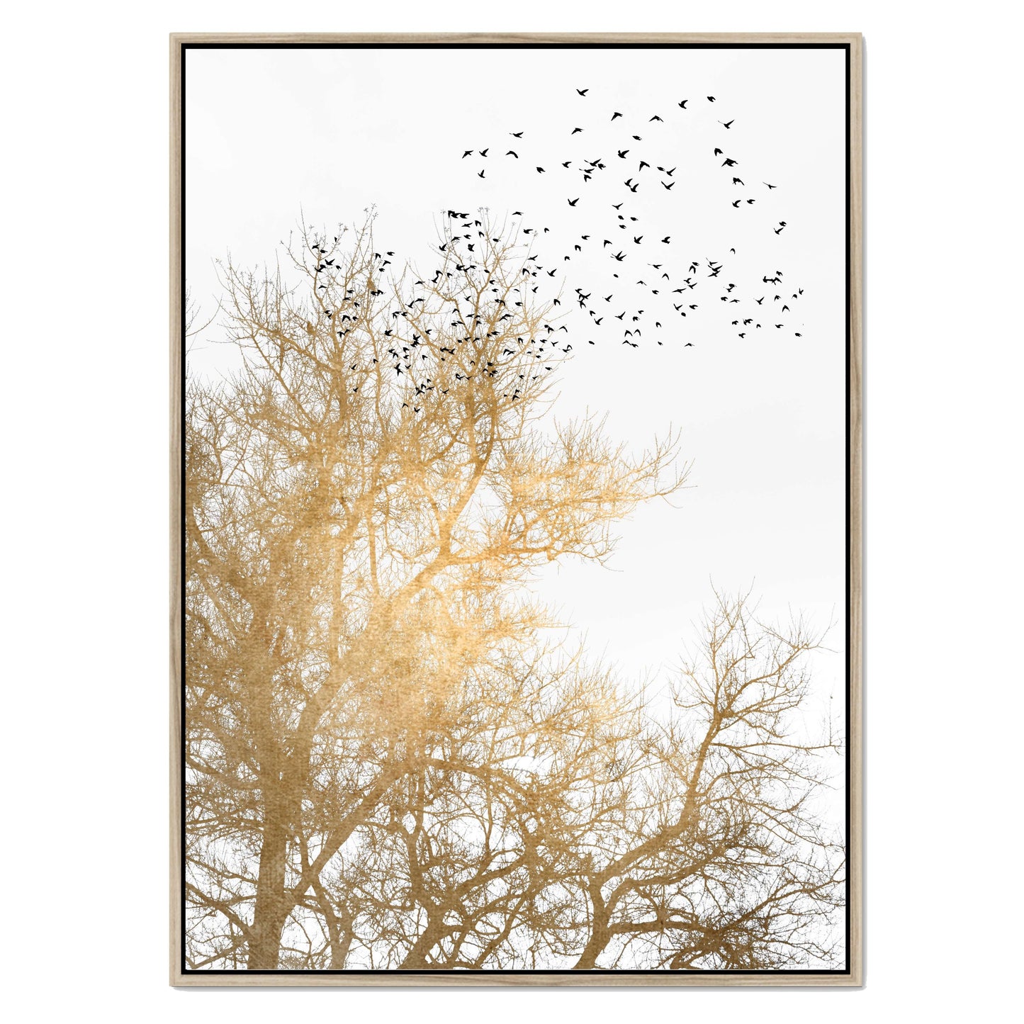 GOLDEN SKIES | CANVAS