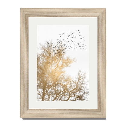 GOLDEN SKIES | PRINT