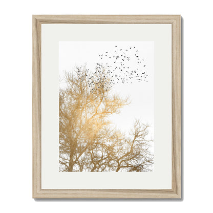 GOLDEN SKIES | PRINT