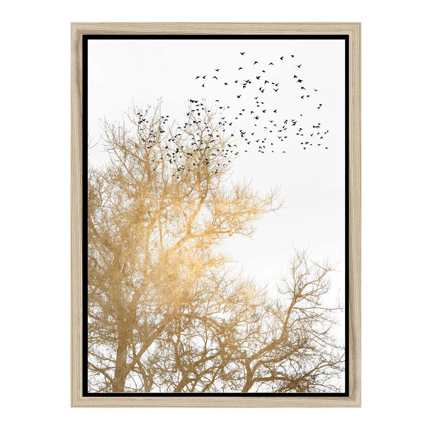 GOLDEN SKIES | CANVAS