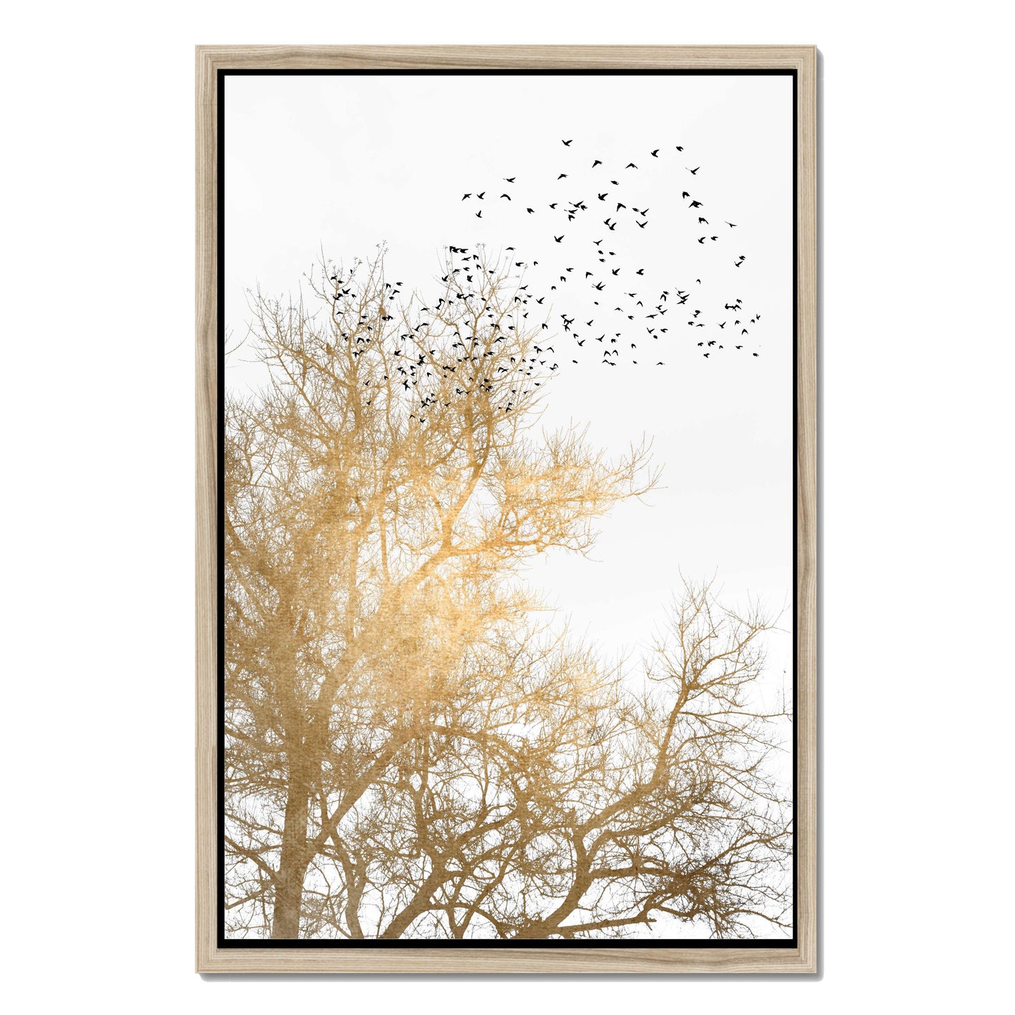 GOLDEN SKIES | CANVAS