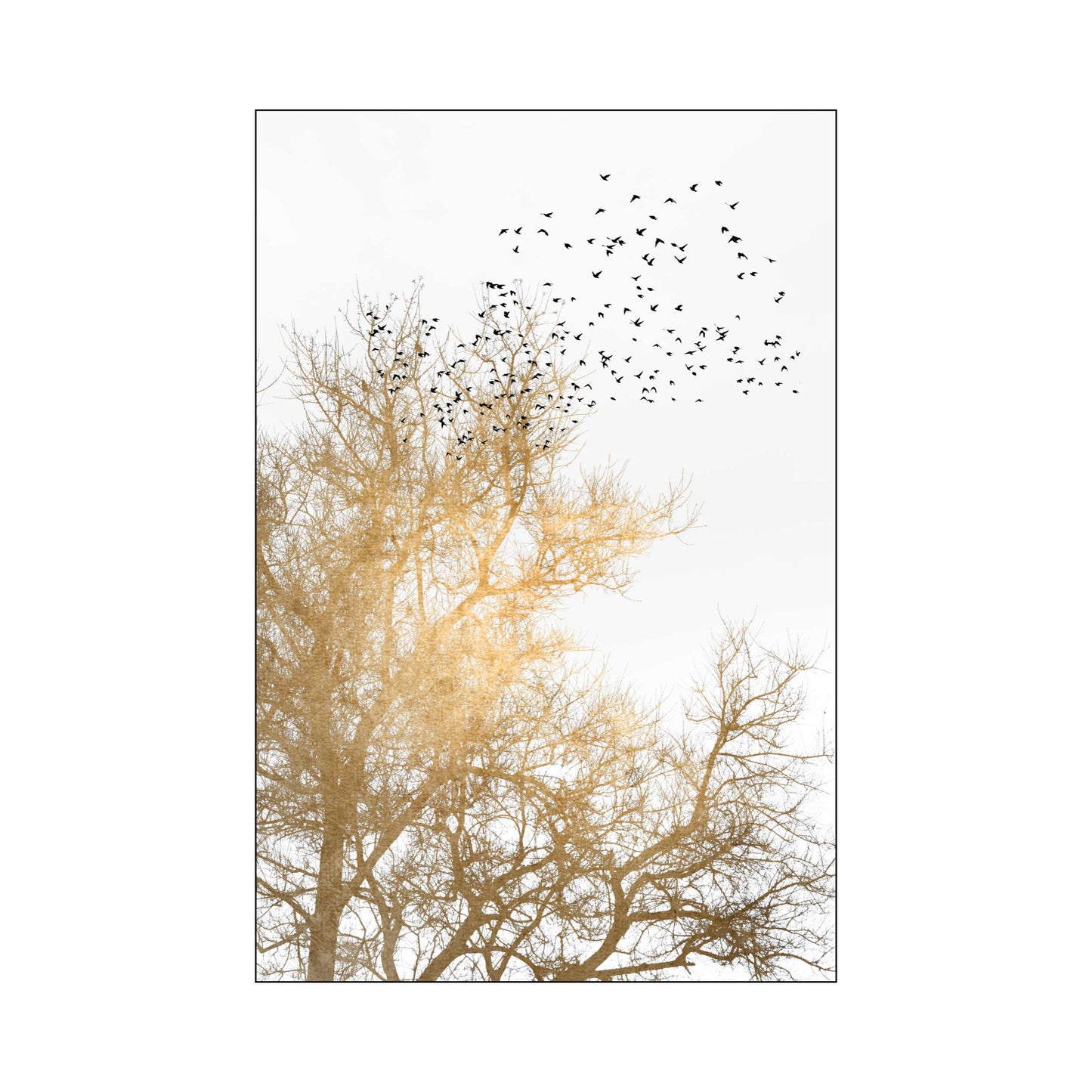 GOLDEN SKIES | PRINT