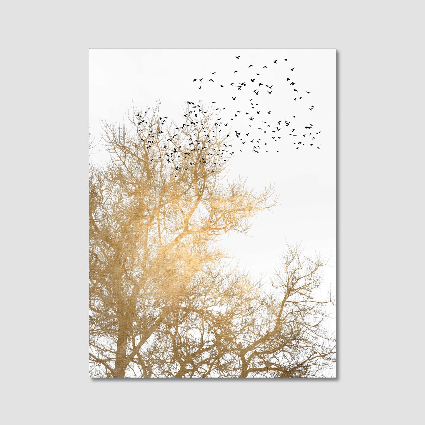 GOLDEN SKIES | CANVAS