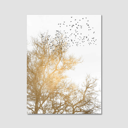 GOLDEN SKIES | CANVAS