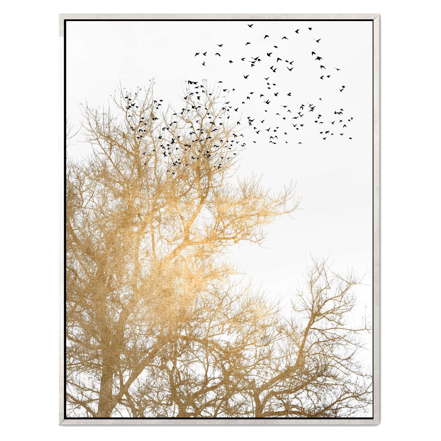 GOLDEN SKIES | CANVAS