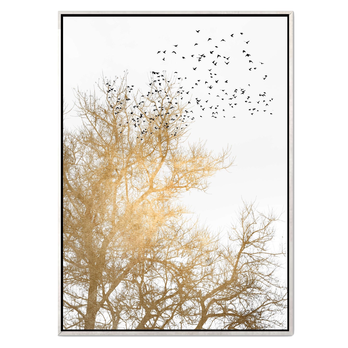GOLDEN SKIES | CANVAS