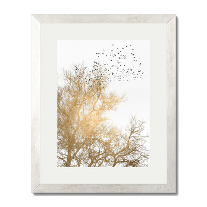 GOLDEN SKIES | PRINT