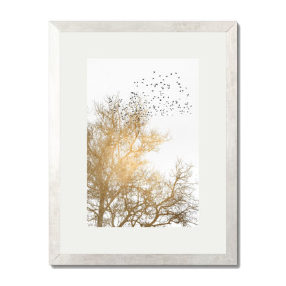 GOLDEN SKIES | PRINT