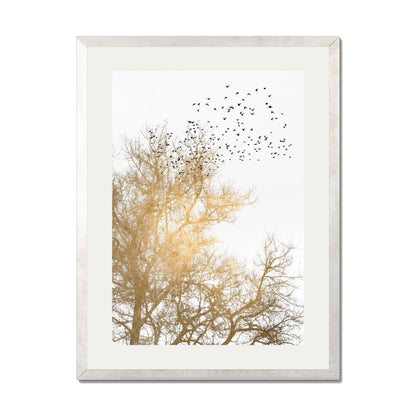GOLDEN SKIES | PRINT