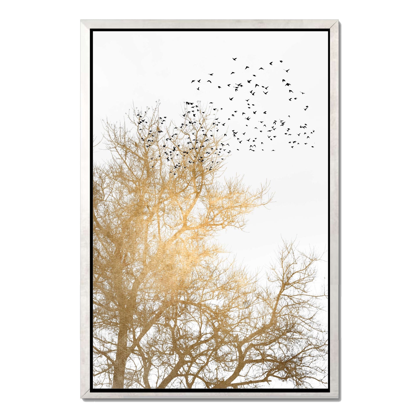 GOLDEN SKIES | CANVAS