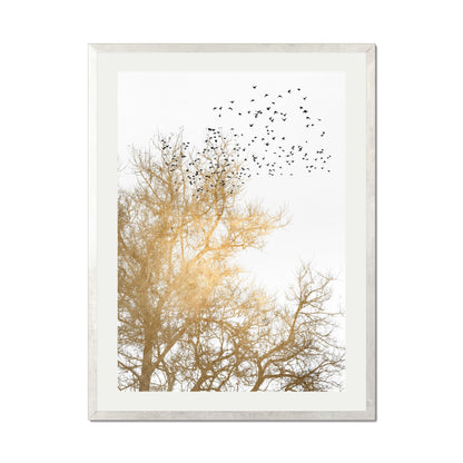 GOLDEN SKIES | PRINT