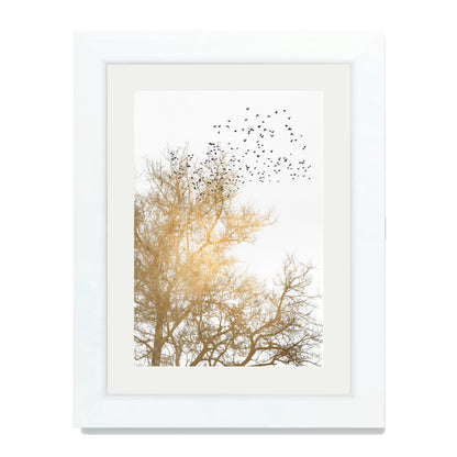 GOLDEN SKIES | PRINT