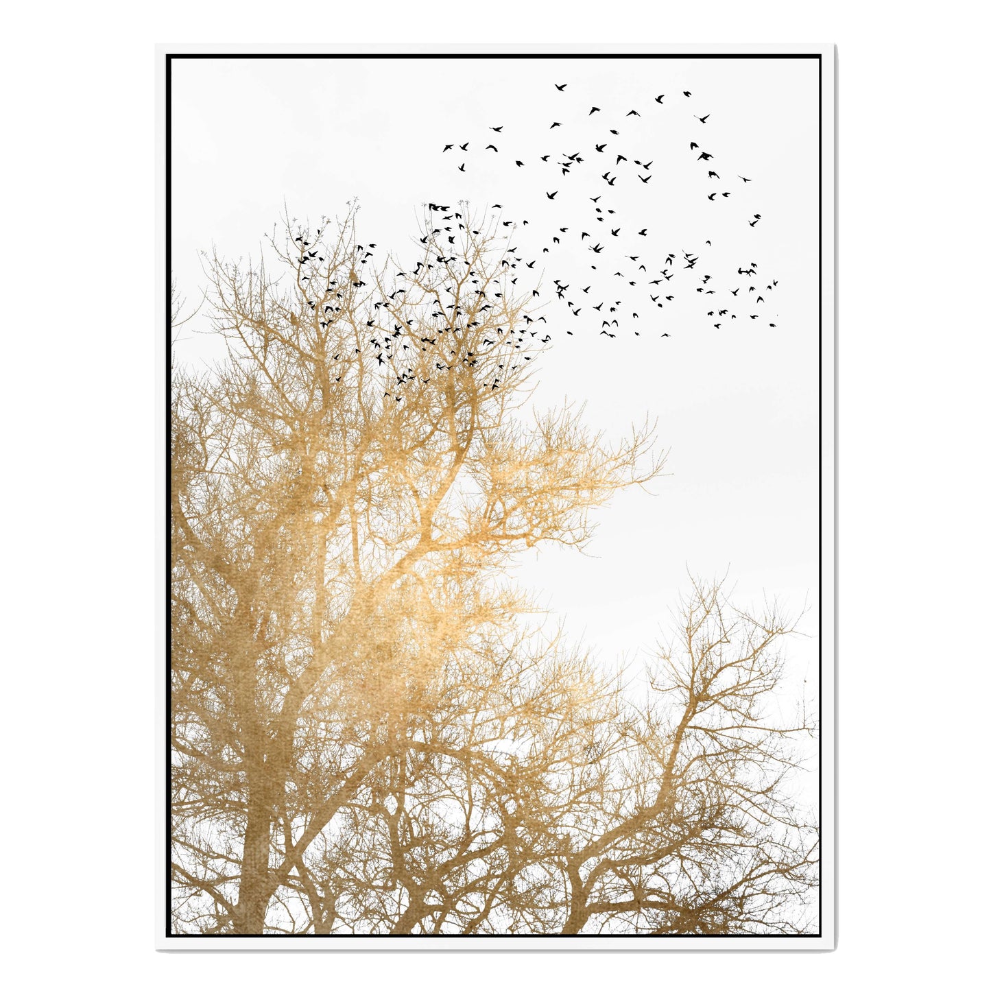 GOLDEN SKIES | CANVAS