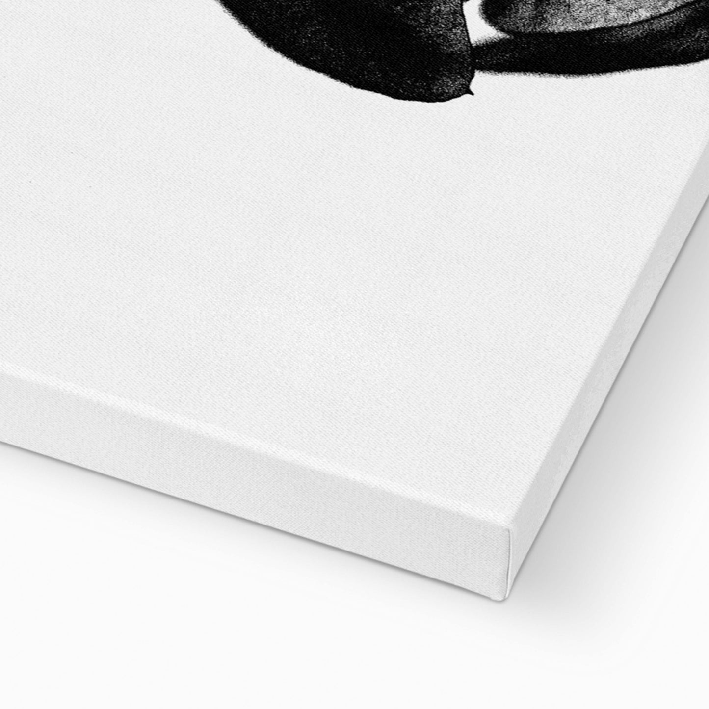 LA VIE EN ROSE | CANVAS