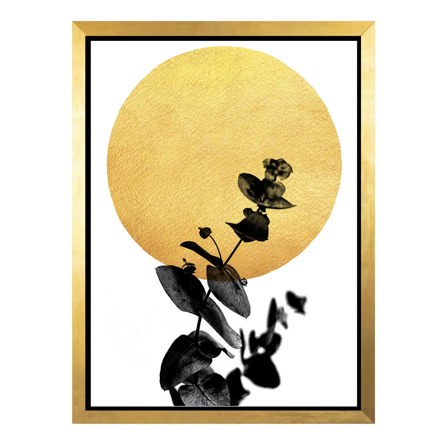LA VIE EN ROSE | CANVAS