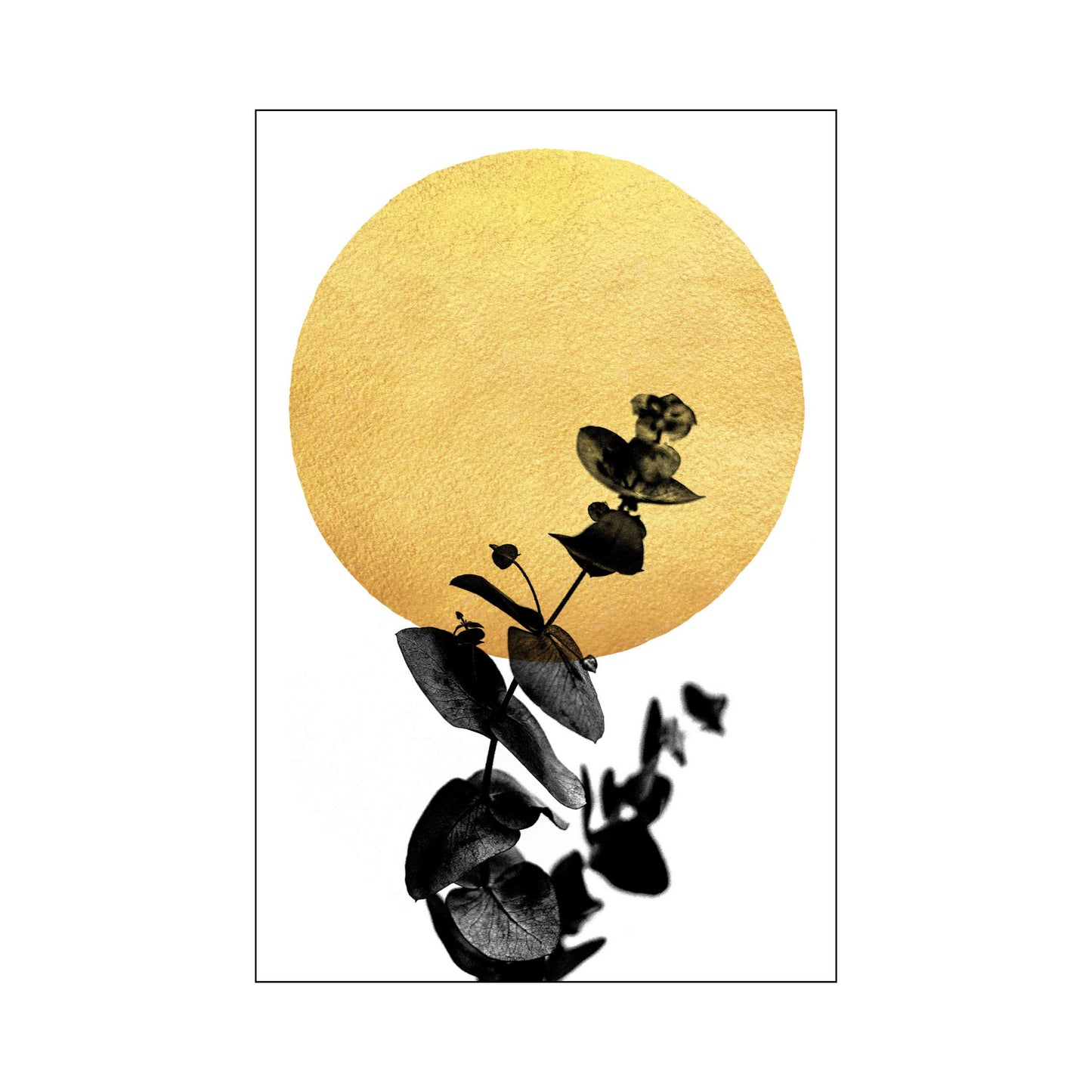 LA VIE EN ROSE | PRINT