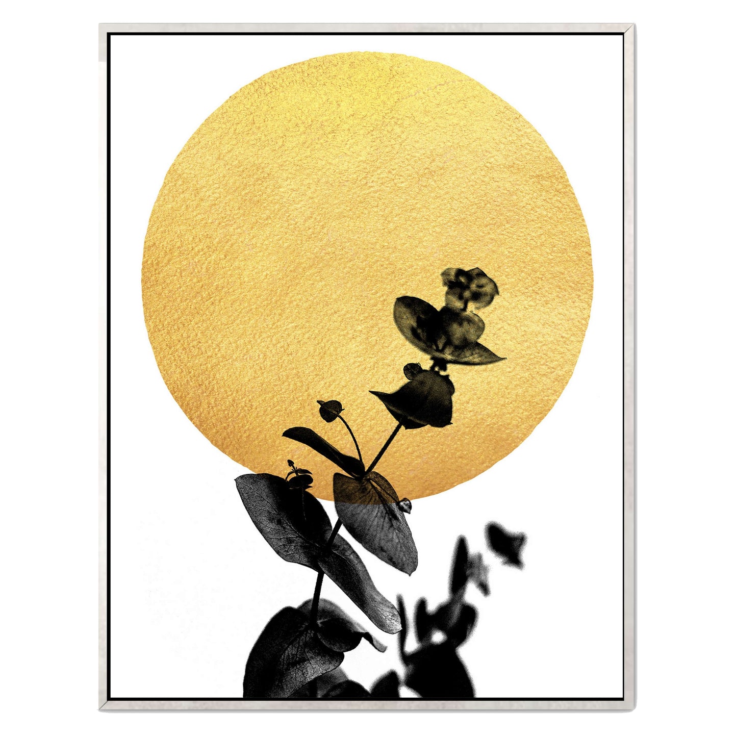 LA VIE EN ROSE | CANVAS