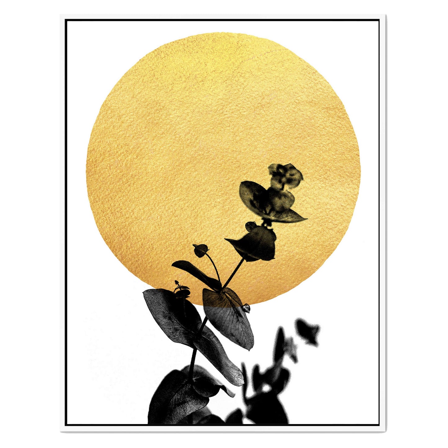 LA VIE EN ROSE | CANVAS
