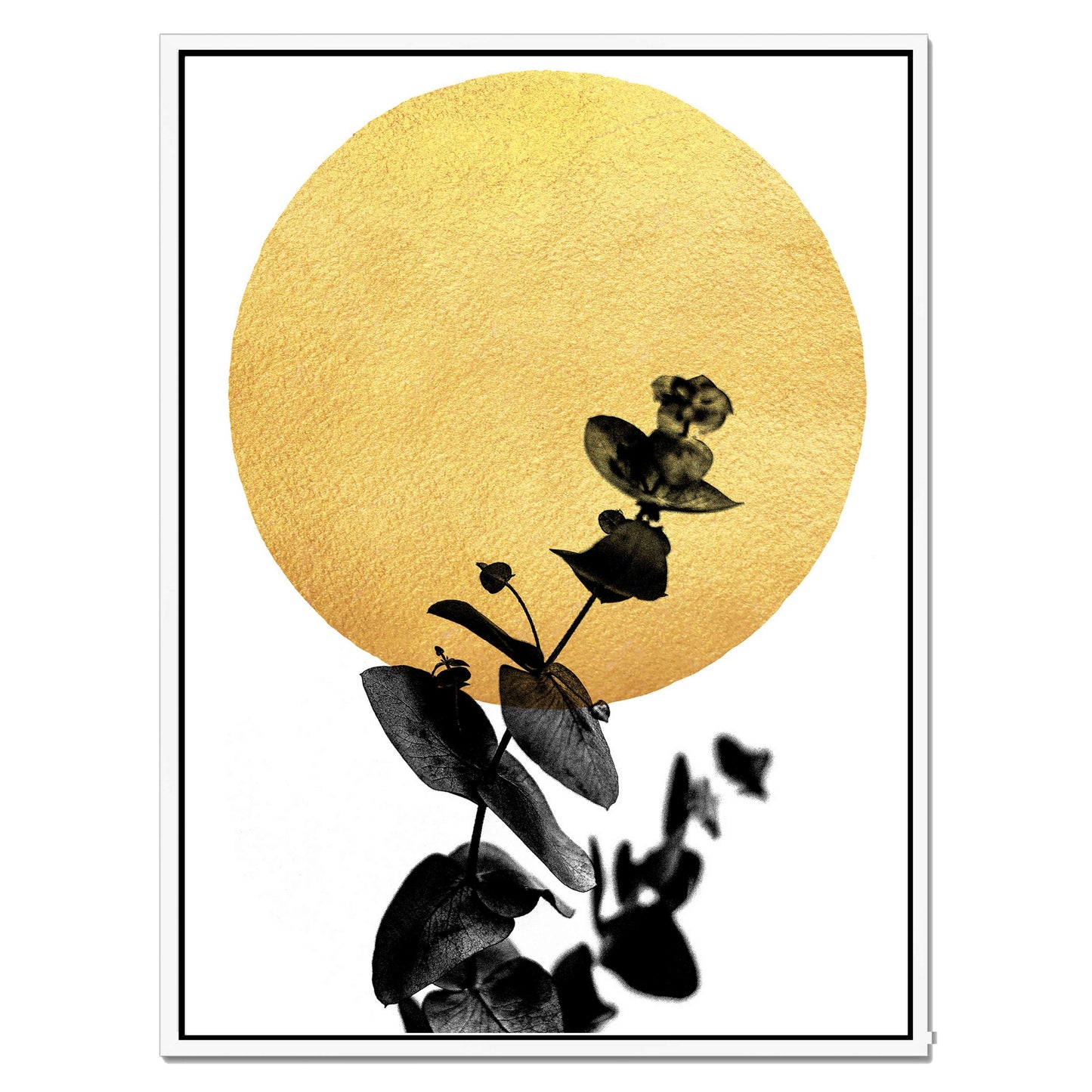 LA VIE EN ROSE | CANVAS