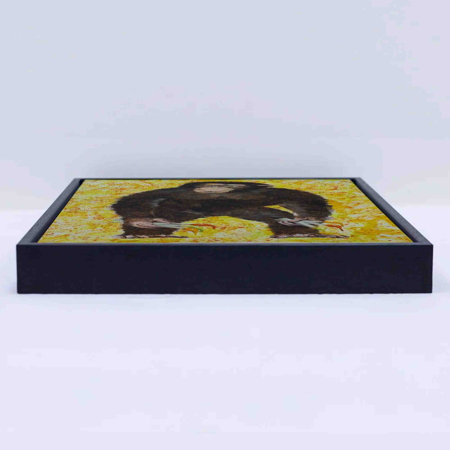 MONKEY ARTIST | CANVAS