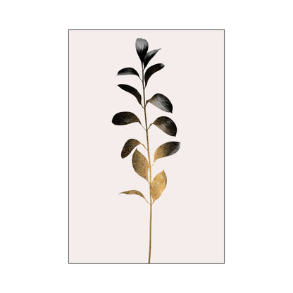 MONOCHROMATICA NO.3 | PRINT