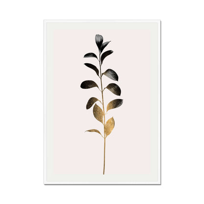 MONOCHROMATICA NO.3 | PRINT