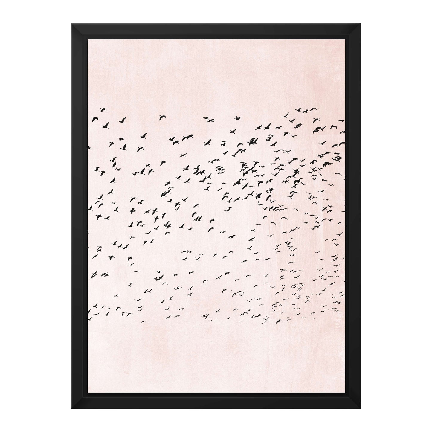 MOVING ON | CANVAS