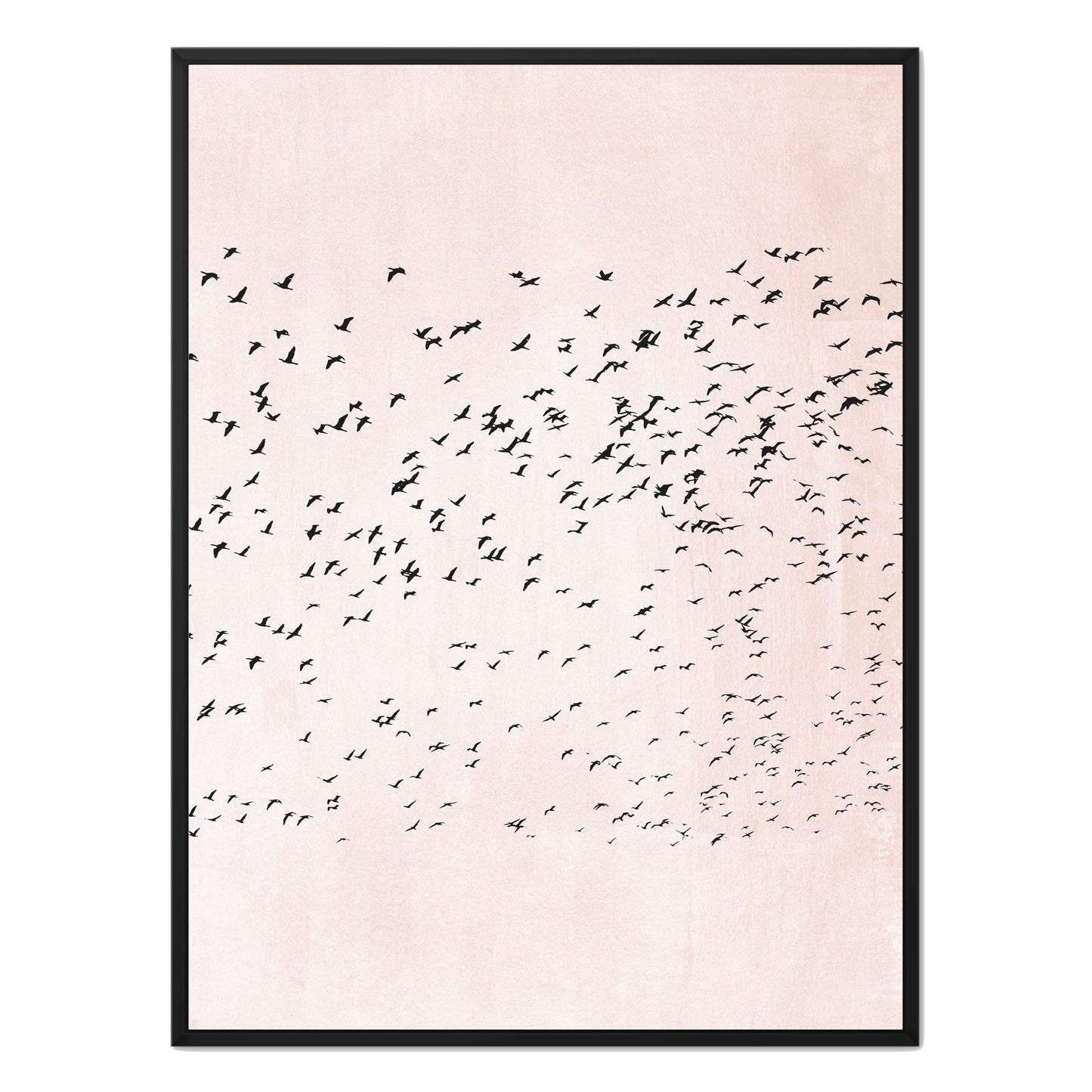 MOVING ON | CANVAS