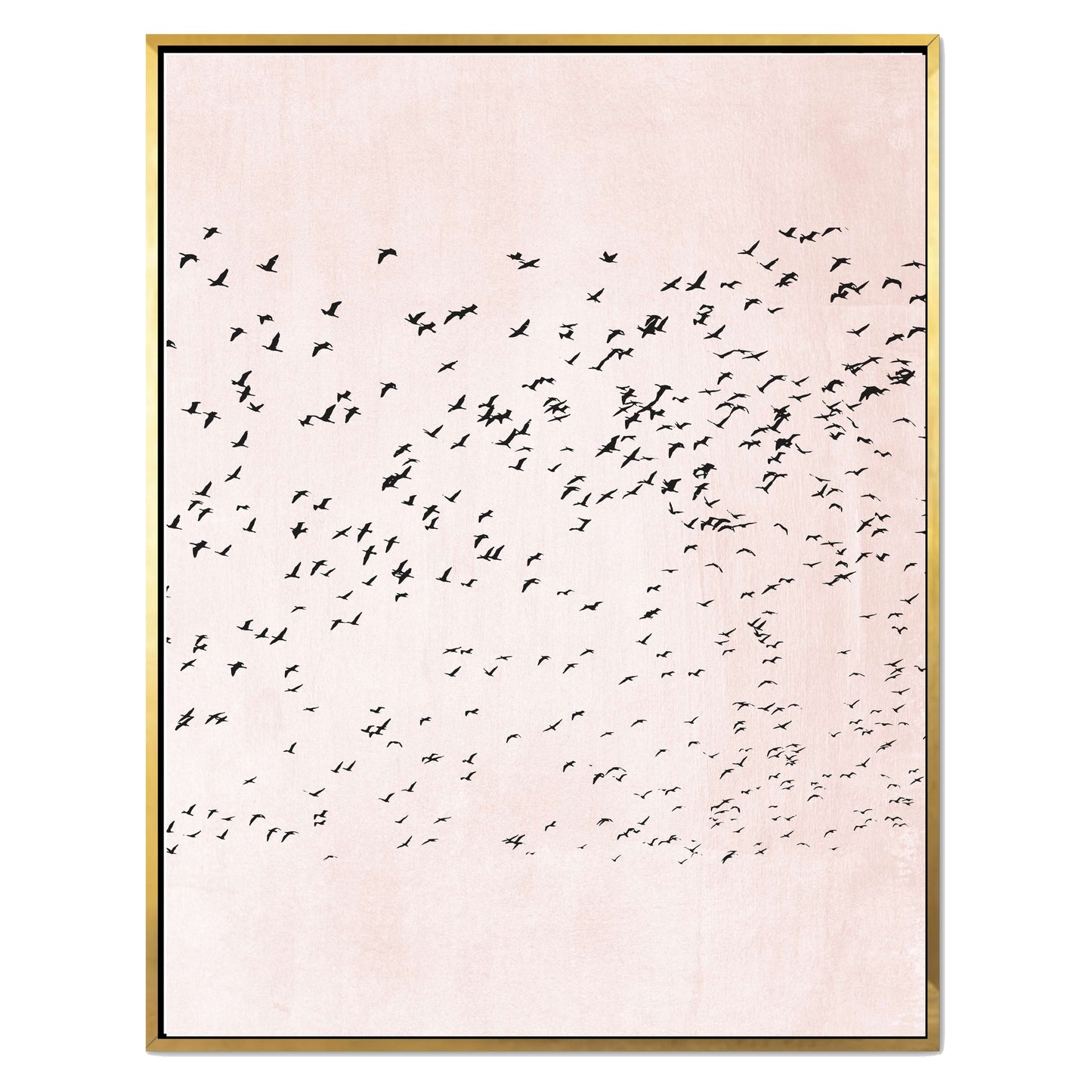 MOVING ON | CANVAS