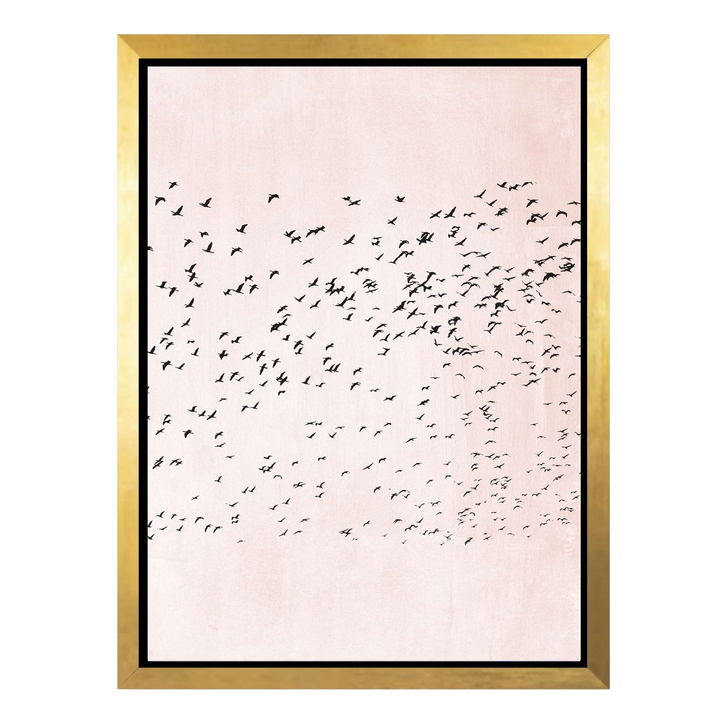 MOVING ON | CANVAS