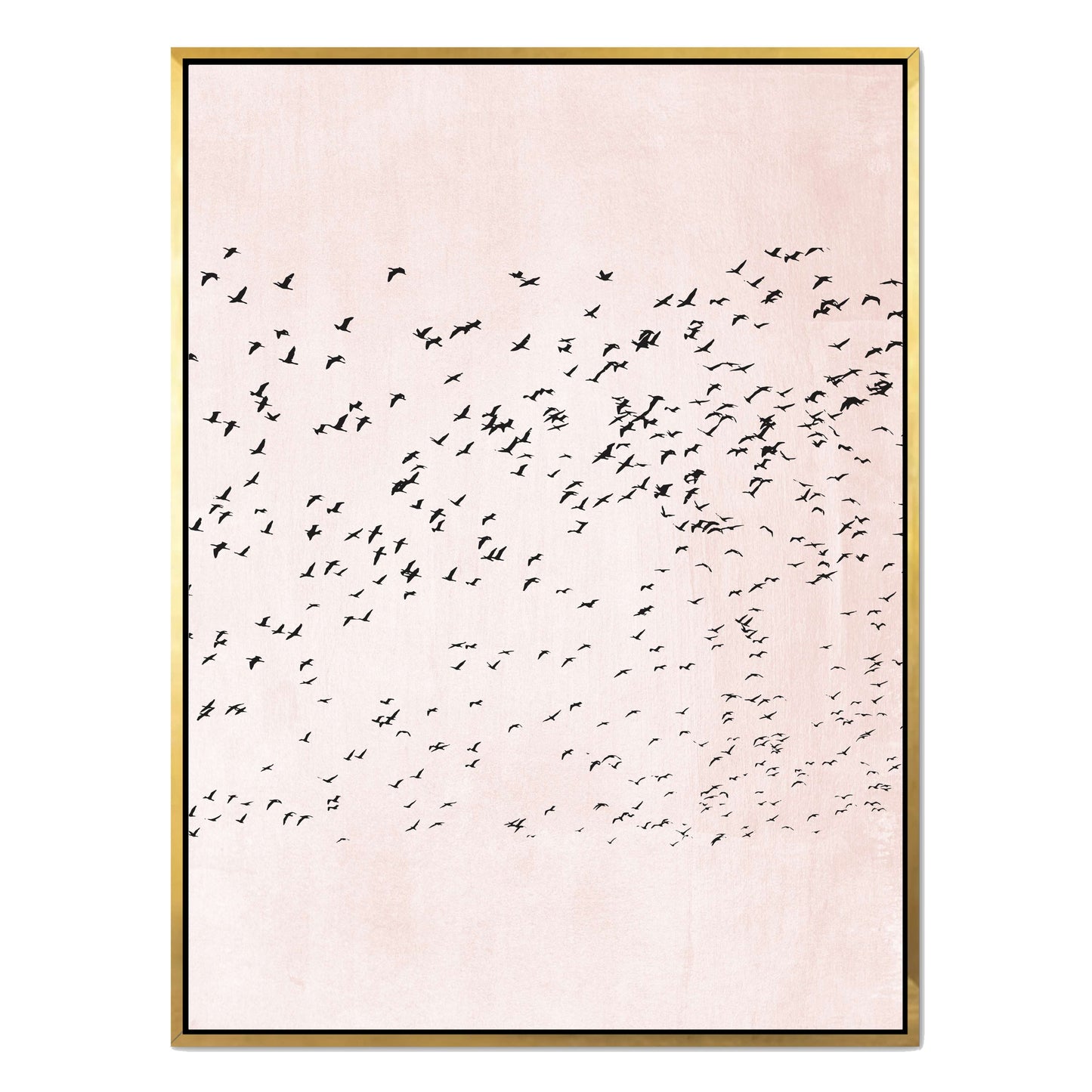 MOVING ON | CANVAS