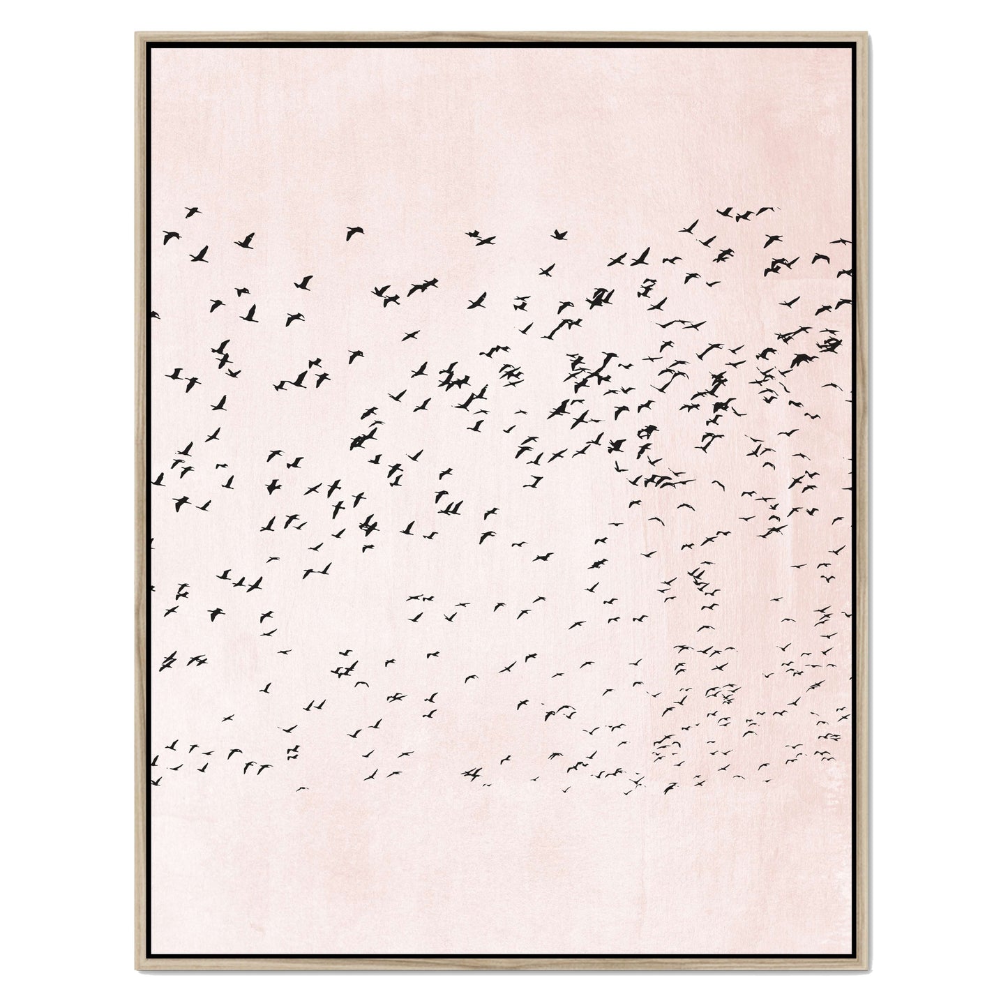 MOVING ON | CANVAS