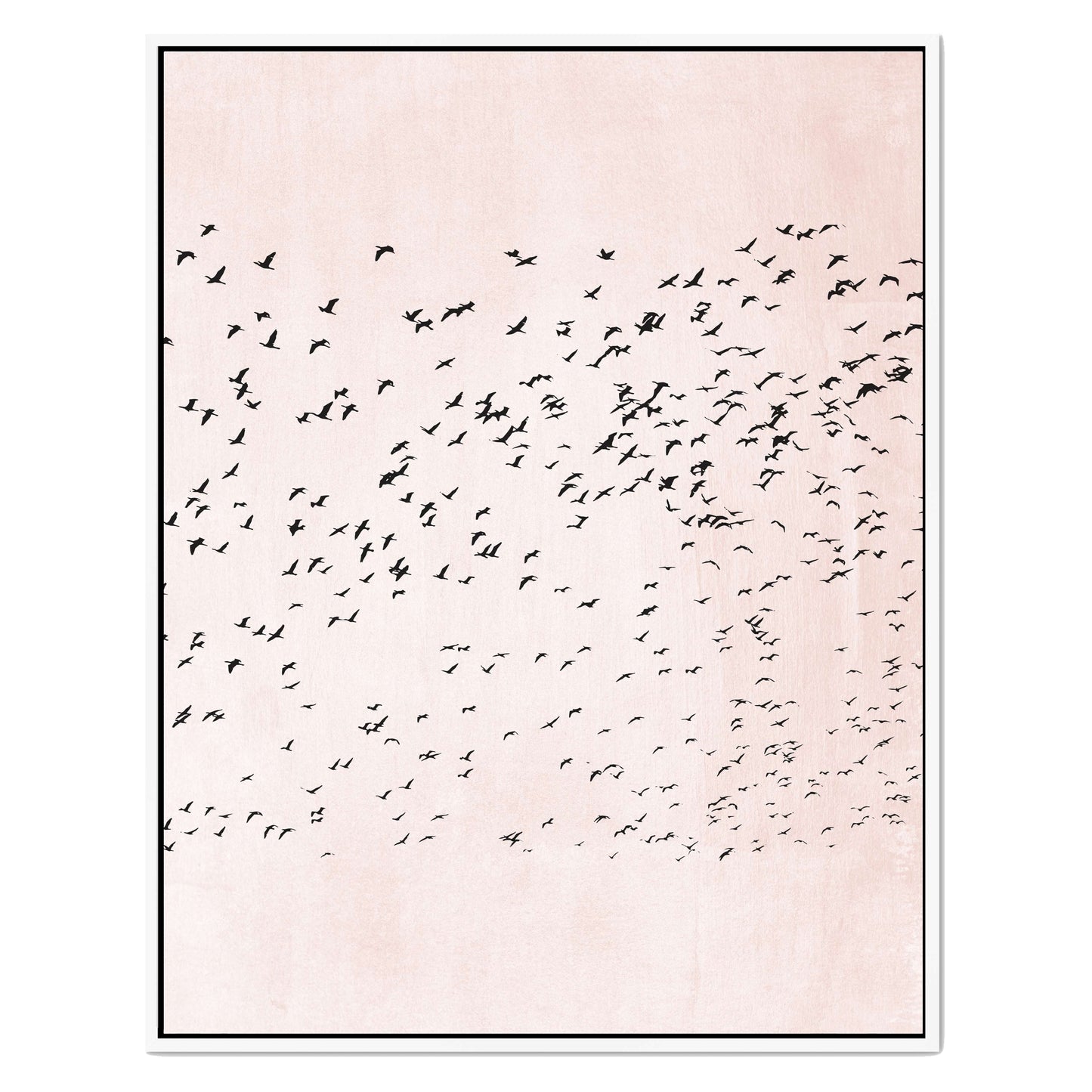 MOVING ON | CANVAS