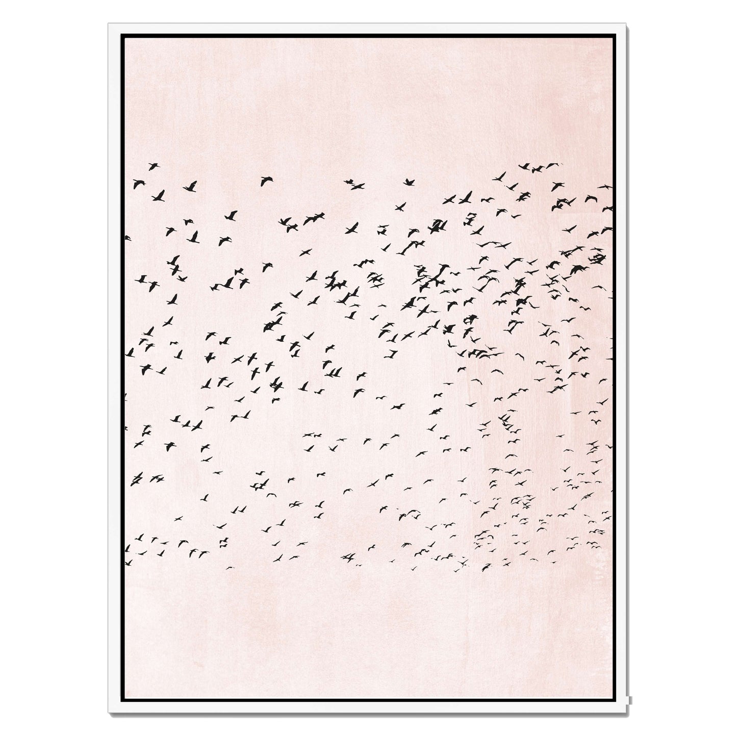 MOVING ON | CANVAS
