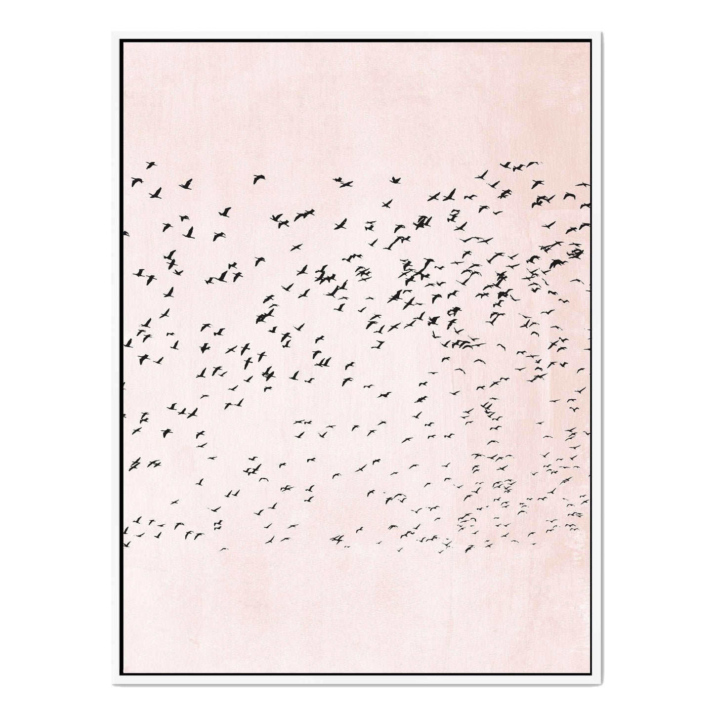 MOVING ON | CANVAS