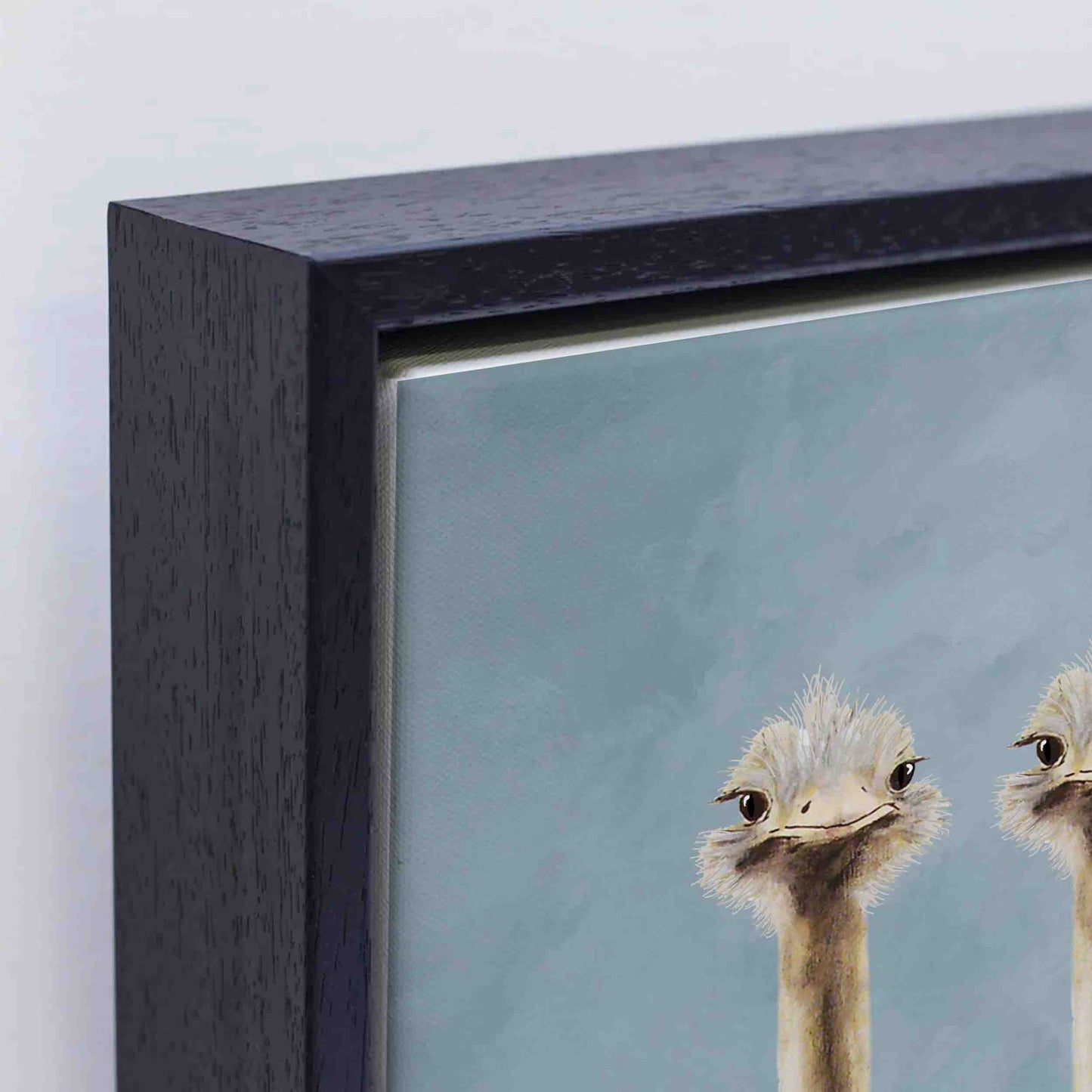 OSTRICHES IN BATHTUB | CANVAS