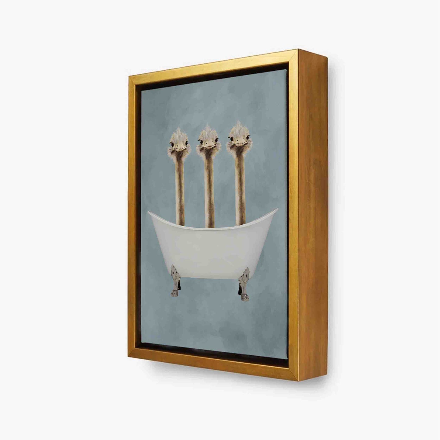 OSTRICHES IN BATHTUB | CANVAS