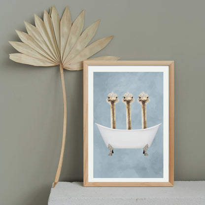 OSTRICHES IN BATHTUB | PRINT