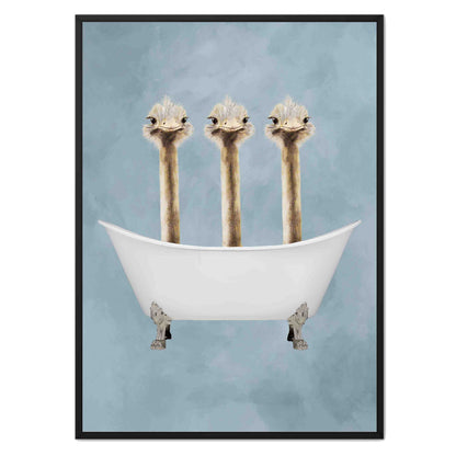 OSTRICHES IN BATHTUB | CANVAS