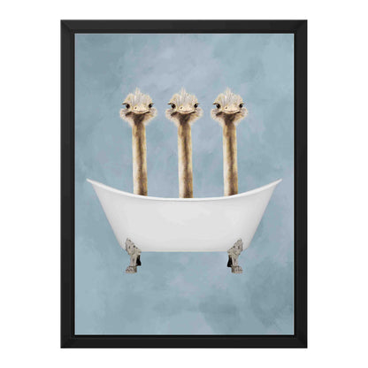 OSTRICHES IN BATHTUB | CANVAS