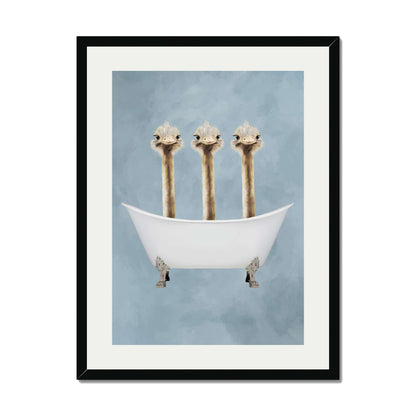 OSTRICHES IN BATHTUB | PRINT