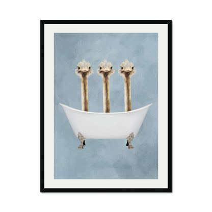 OSTRICHES IN BATHTUB | PRINT