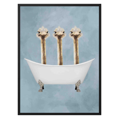OSTRICHES IN BATHTUB | CANVAS