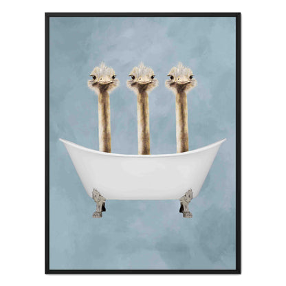 OSTRICHES IN BATHTUB | CANVAS