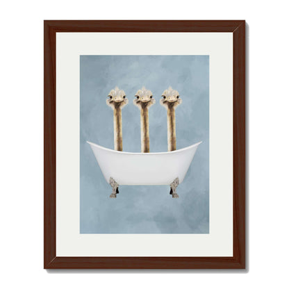 OSTRICHES IN BATHTUB | PRINT